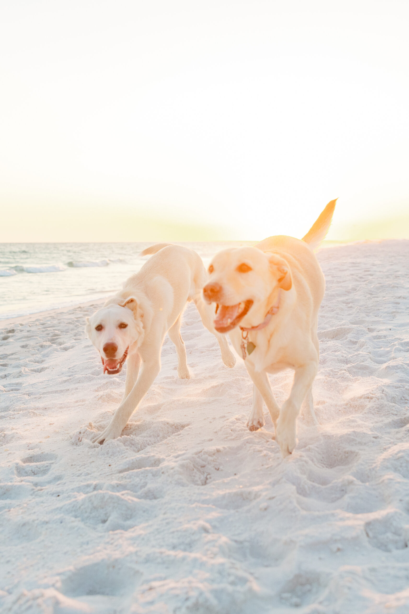 Pensacola Beach Photographer