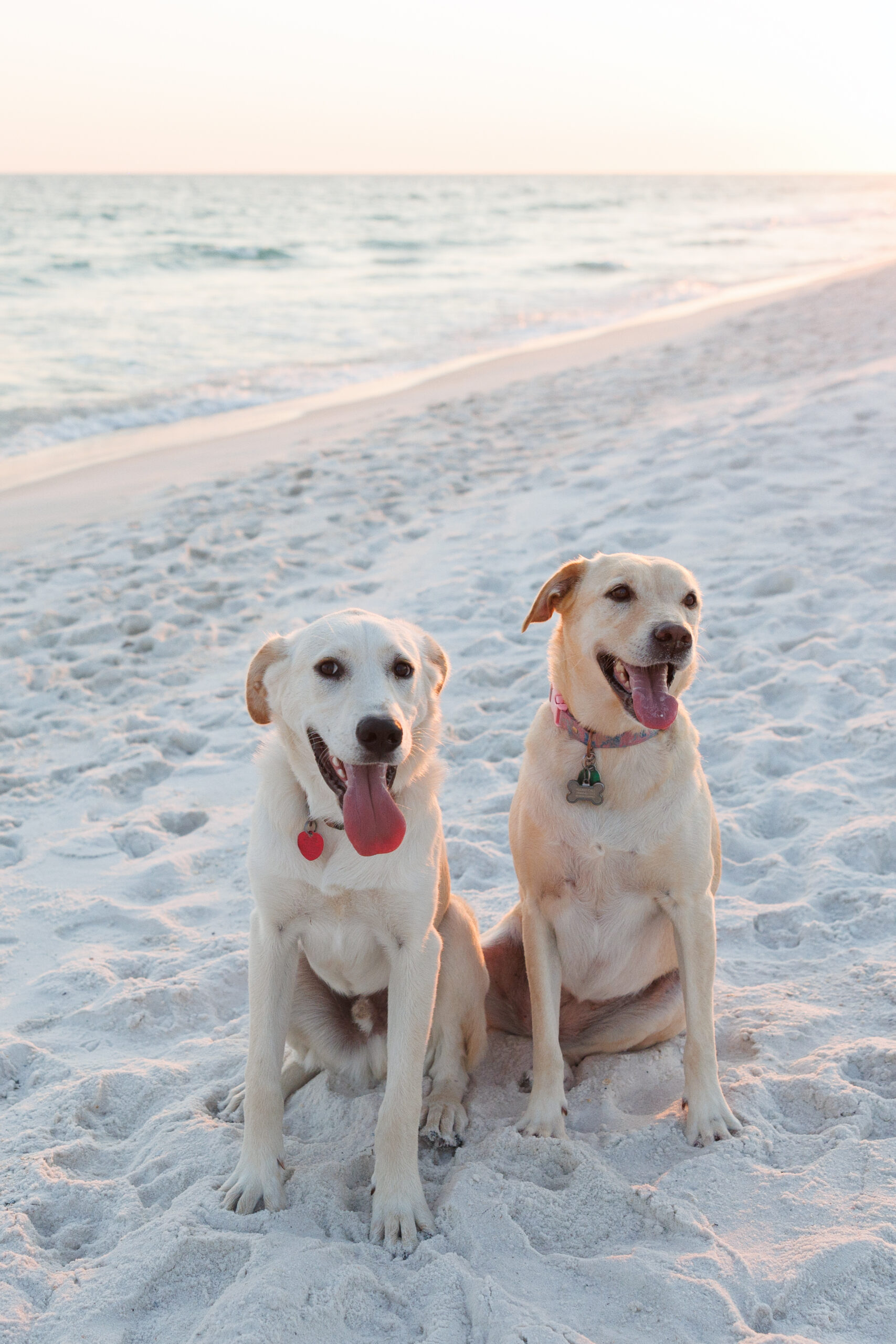 Pensacola Beach Photographer