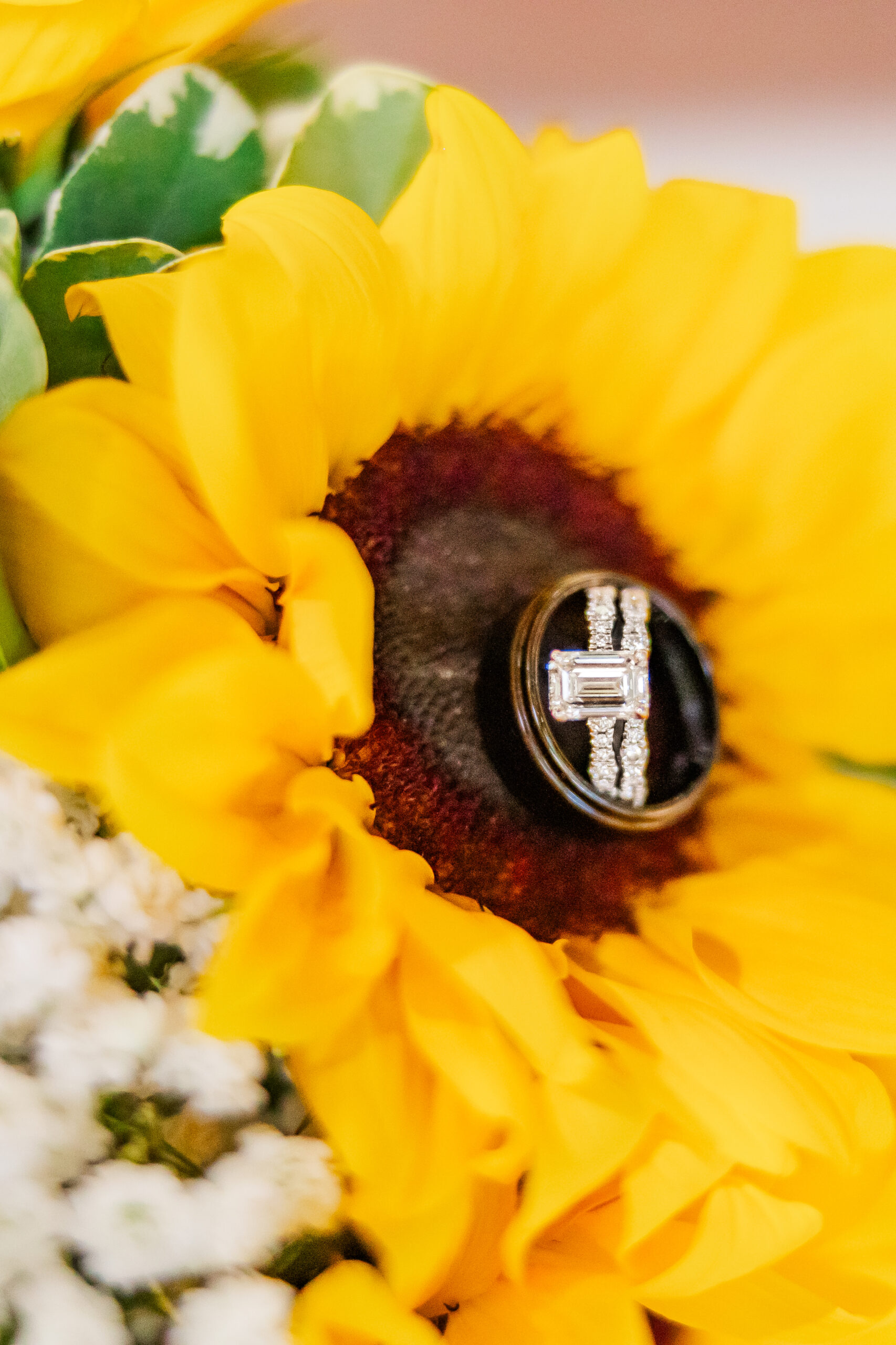 elopement photographer pensacola florida