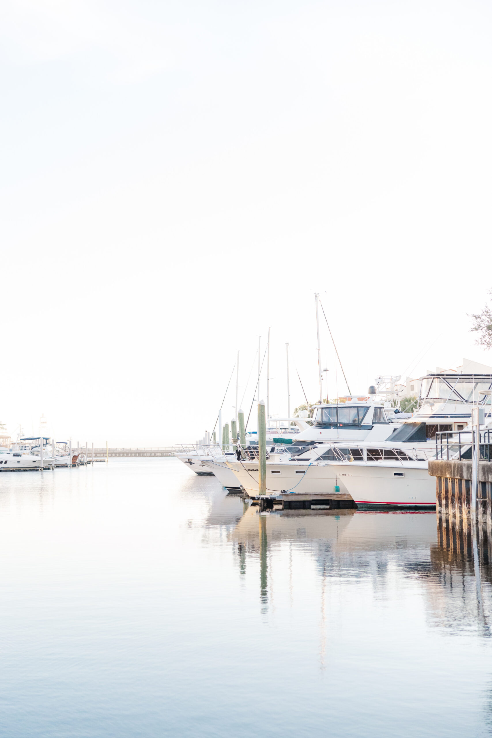 pensacola brand photographer